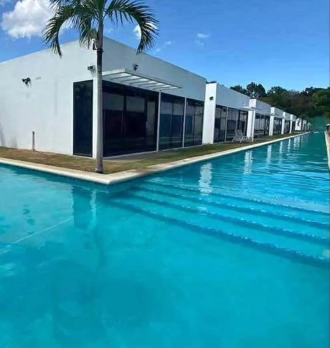 Piscina de 25 metros con palmeras en un proyecto residencial de Panamá